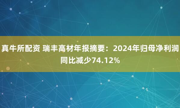 真牛所配资 瑞丰高材年报摘要：2024年归母净利润同比减少74.12%