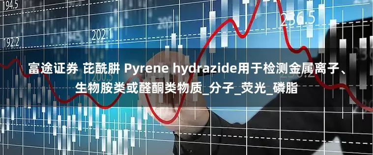富途证券 芘酰肼 Pyrene hydrazide用于检测金属离子、生物胺类或醛酮类物质_分子_荧光_磷脂
