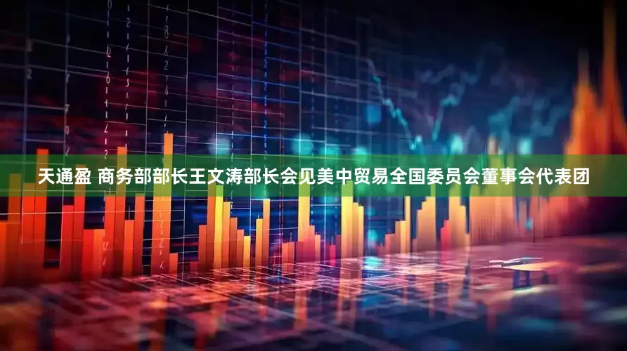 天通盈 商务部部长王文涛部长会见美中贸易全国委员会董事会代表团