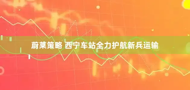 蔚莱策略 西宁车站全力护航新兵运输